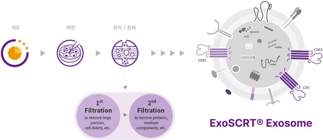 ExoSCRT® 분리정제 기술