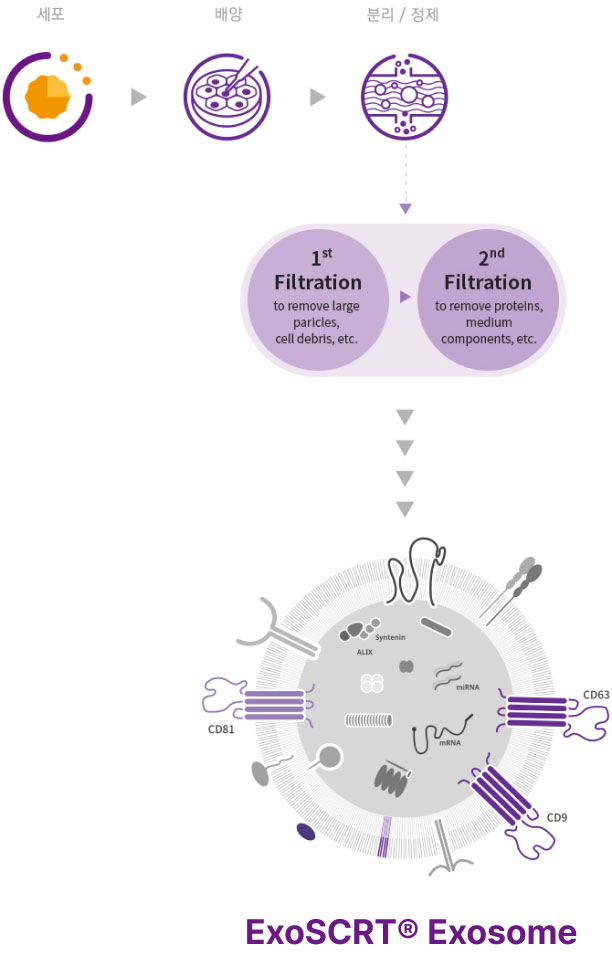 ExoSCRT® 분리정제 기술