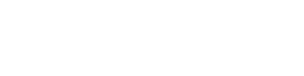 ASCE+ SKIN